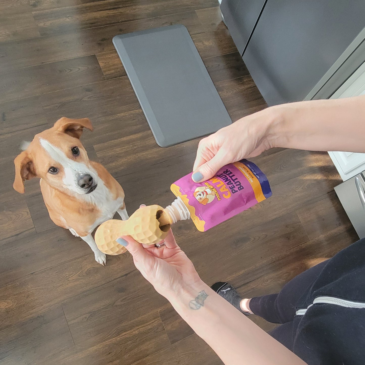 Calming Peanut Butter Squeeze Pack 4oz (No CBD)