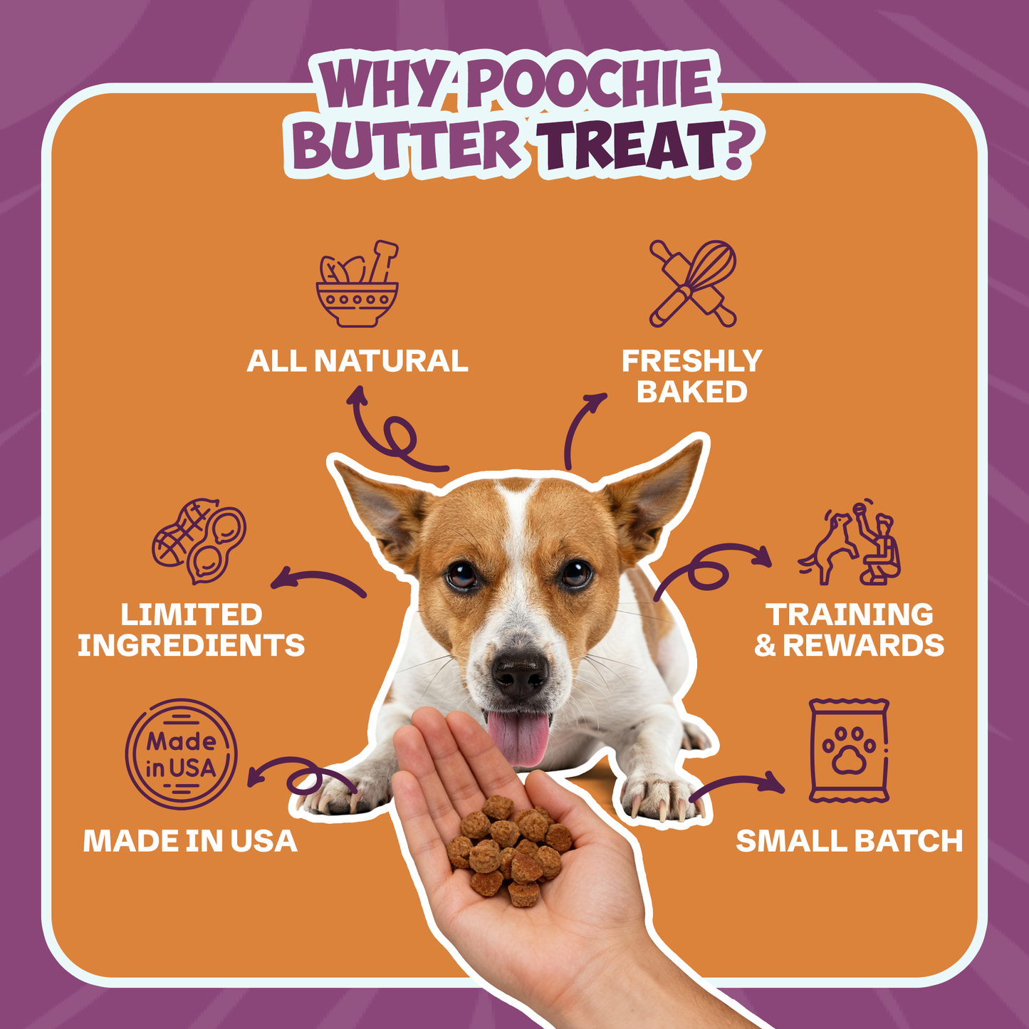 5lb Bulk Peanut Butter & Blueberry Soft & Chewy Dog Treats