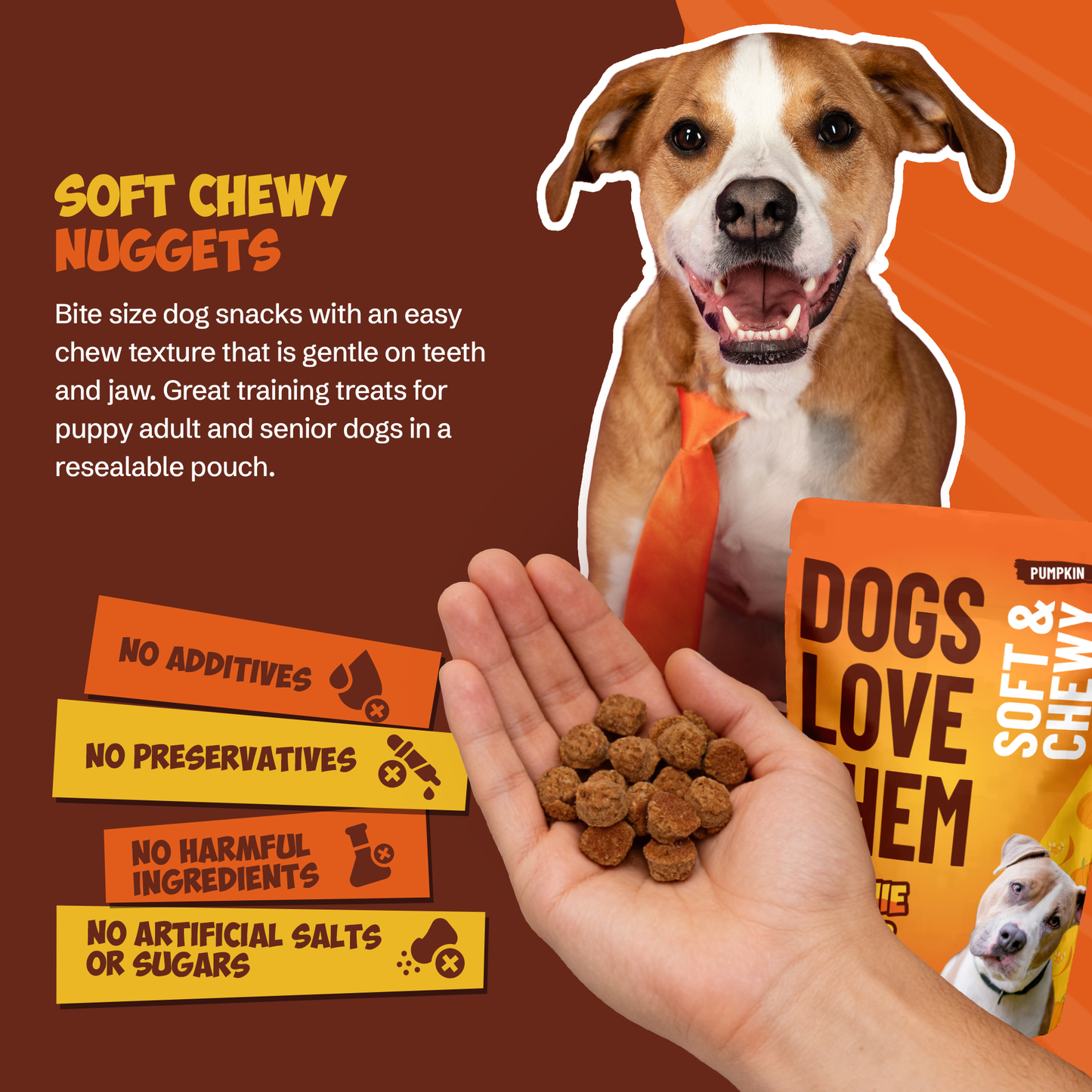 8oz Pumpkin Soft & Chewy Treats
