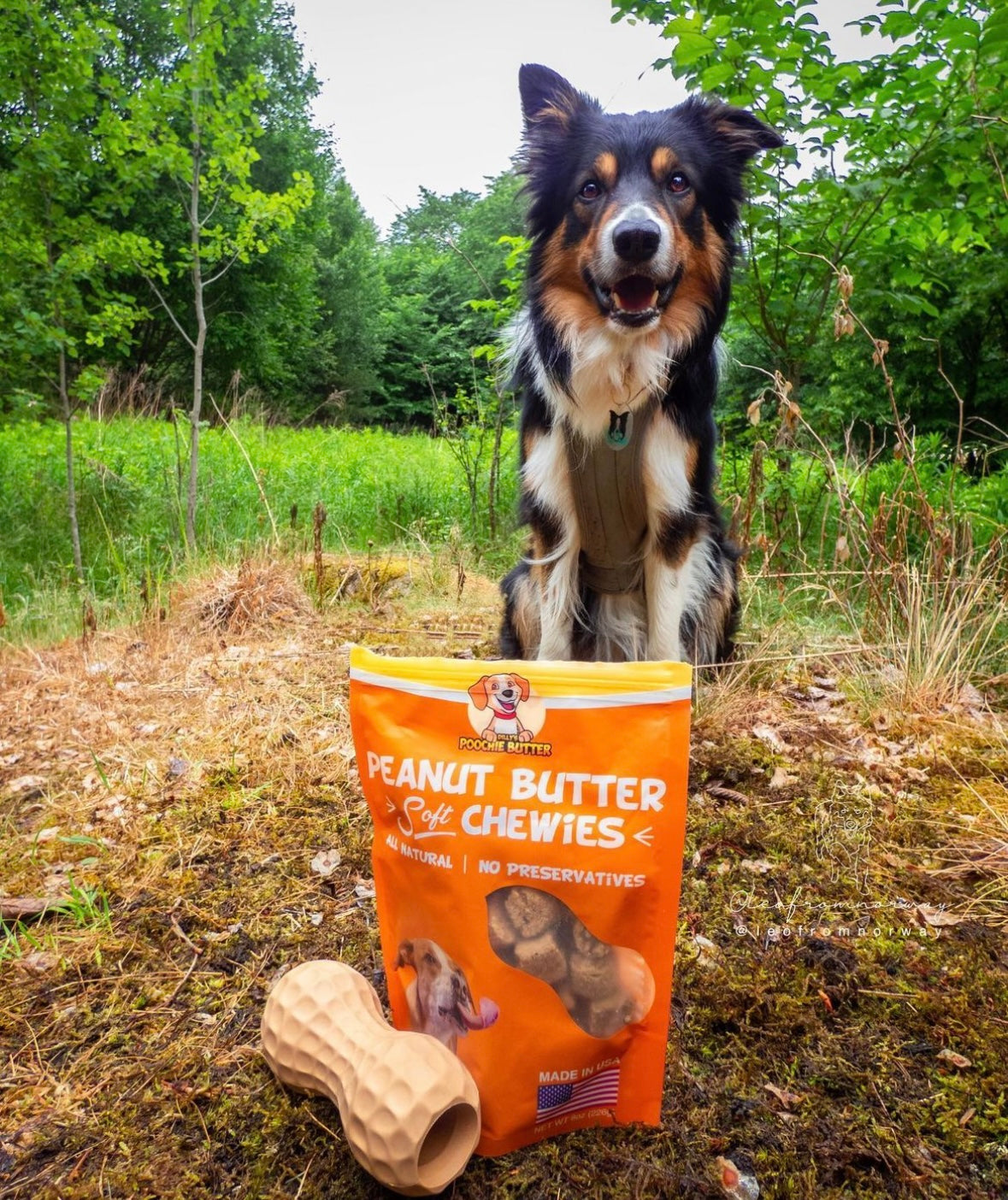 Golosinas masticables suaves para perros con mantequilla de maní, 8 oz