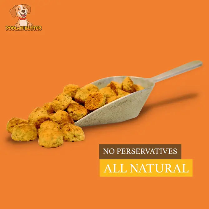 8oz Cheezy Soft & Chewy Treats