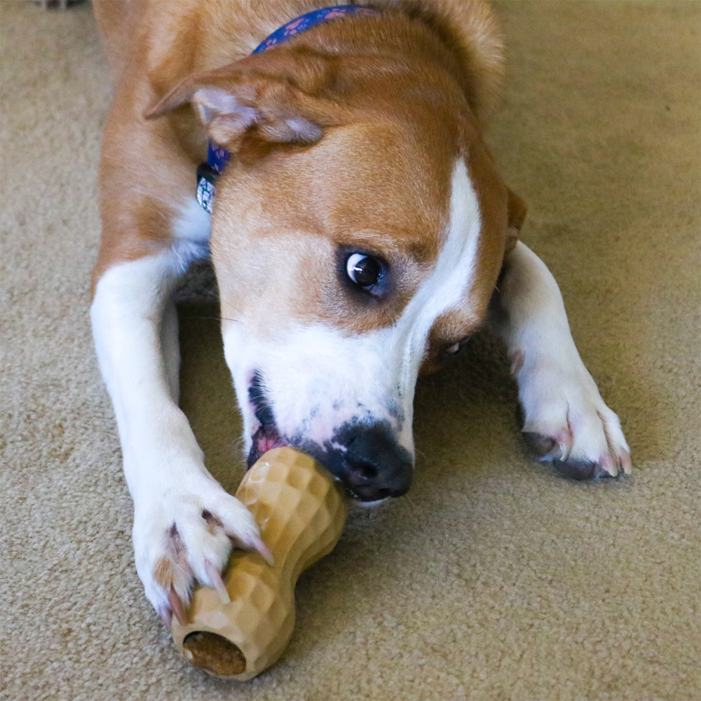 Shop | Peanut Butter for Dogs | Poochie Butter