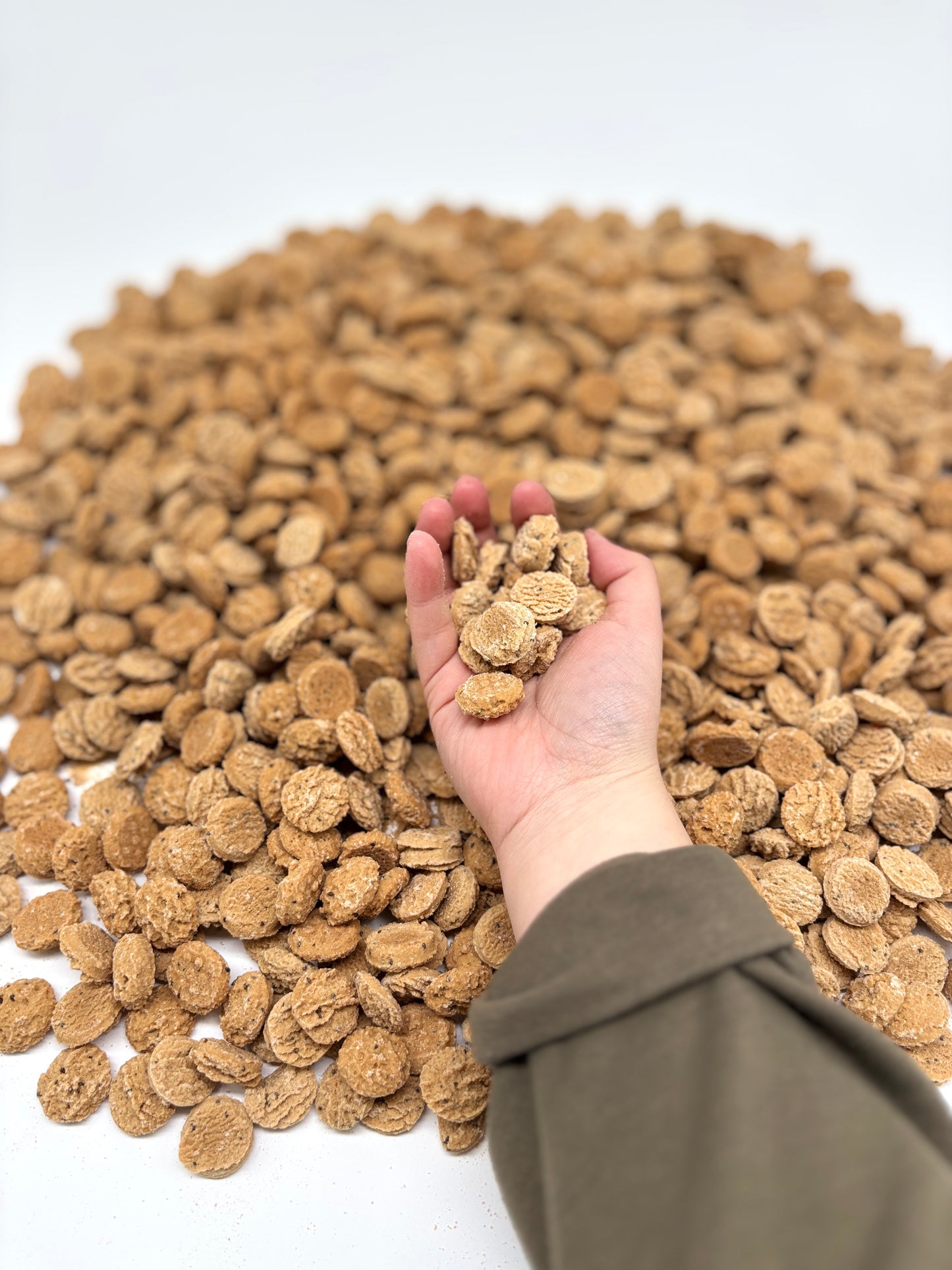 5lb Bulk Bacon & Cheese Soft & Chewy Dog Treats