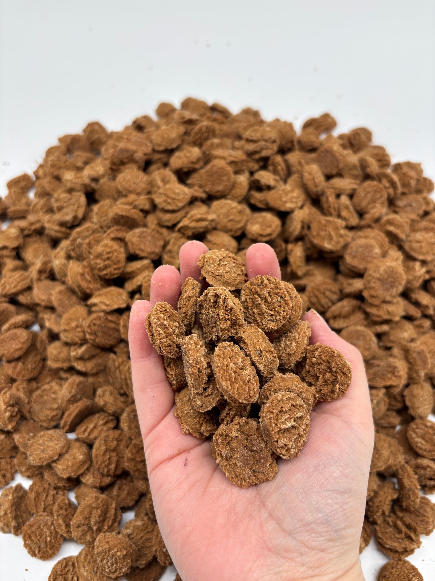 5lb Bulk Pumpkin Soft & Chewy Dog Treats