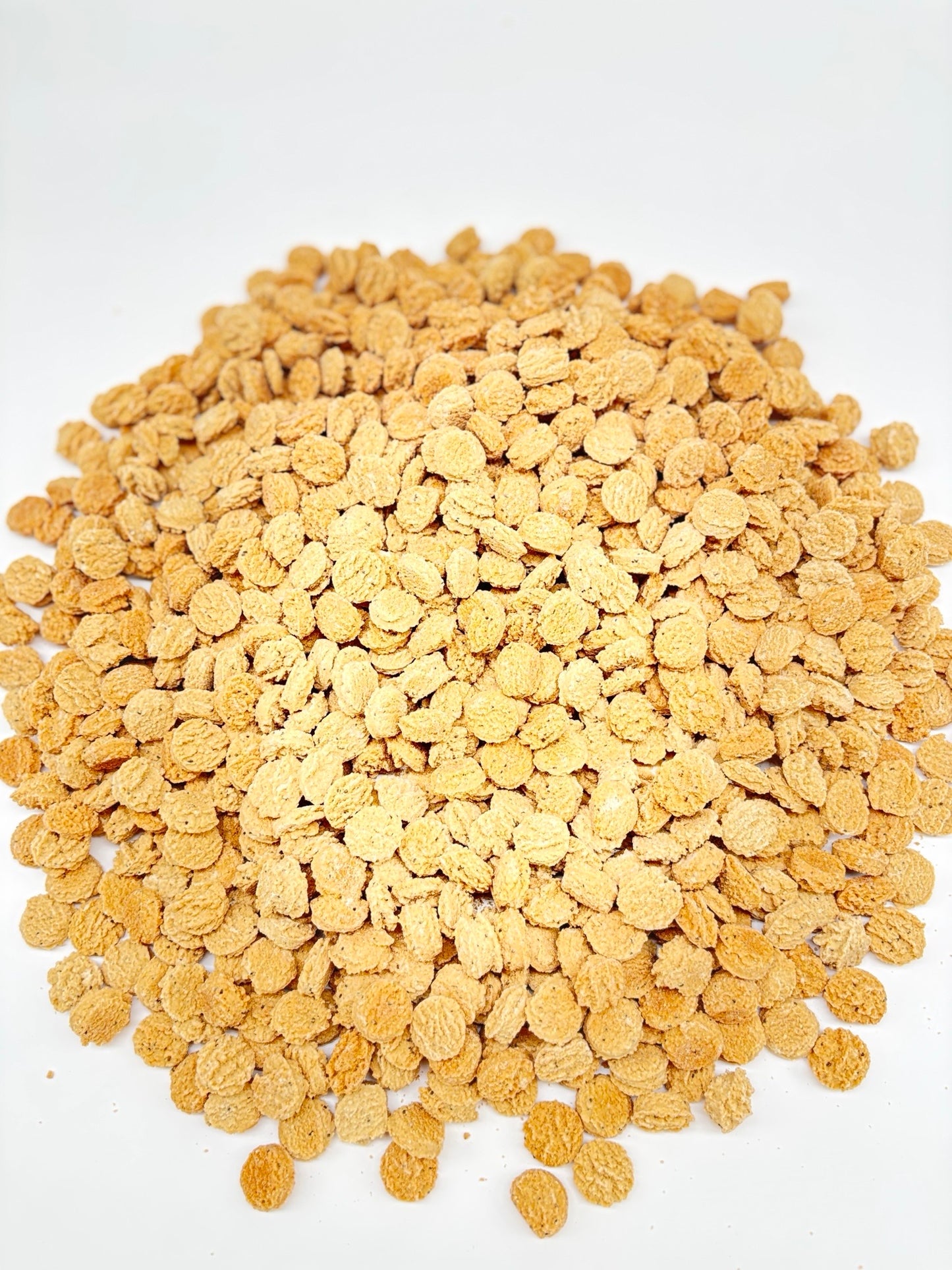 5lb Bulk Cheezy Soft & Chewy Dog Treats