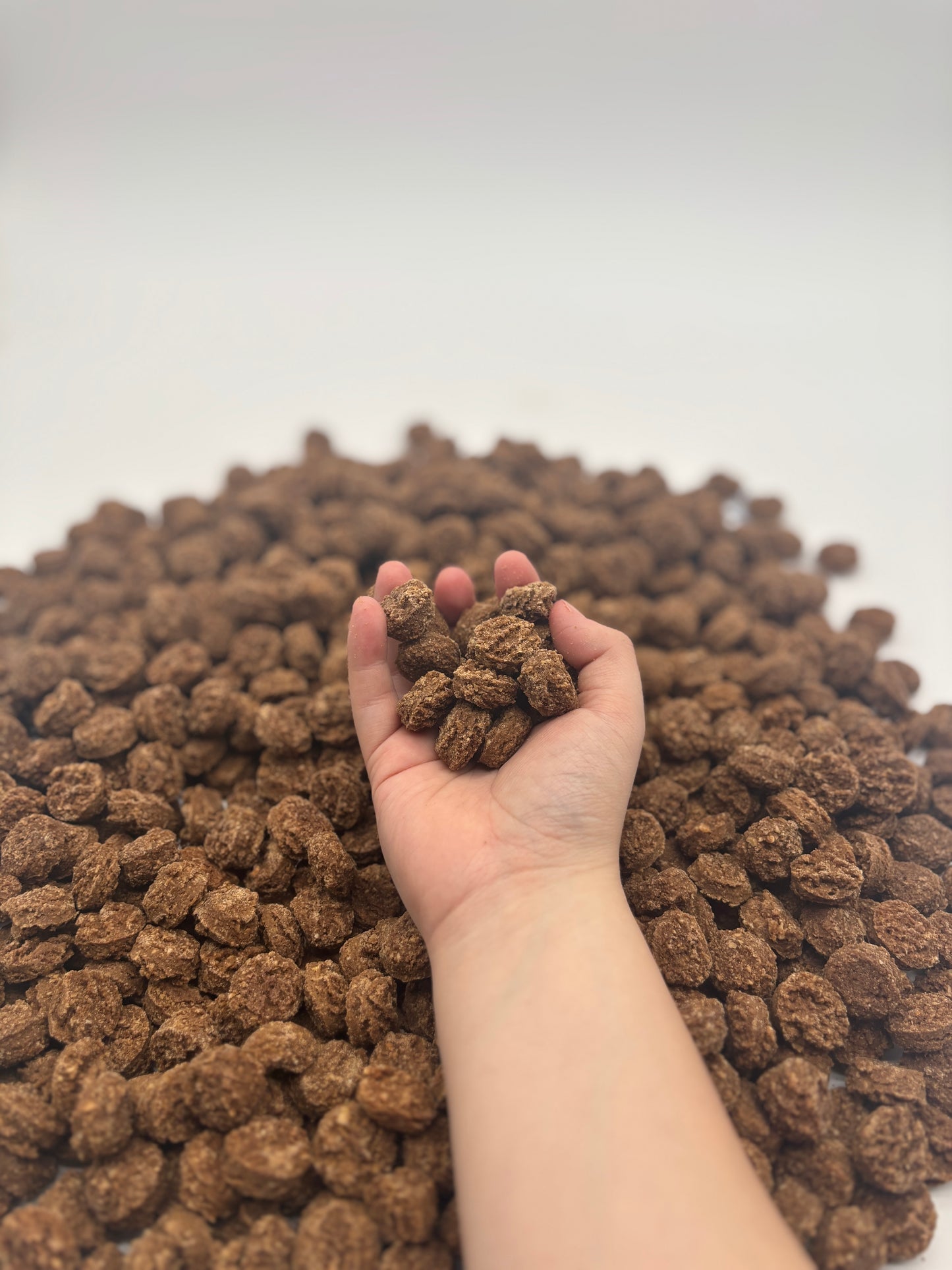 5lb Bulk Peanut Butter & Blueberry Soft & Chewy Dog Treats