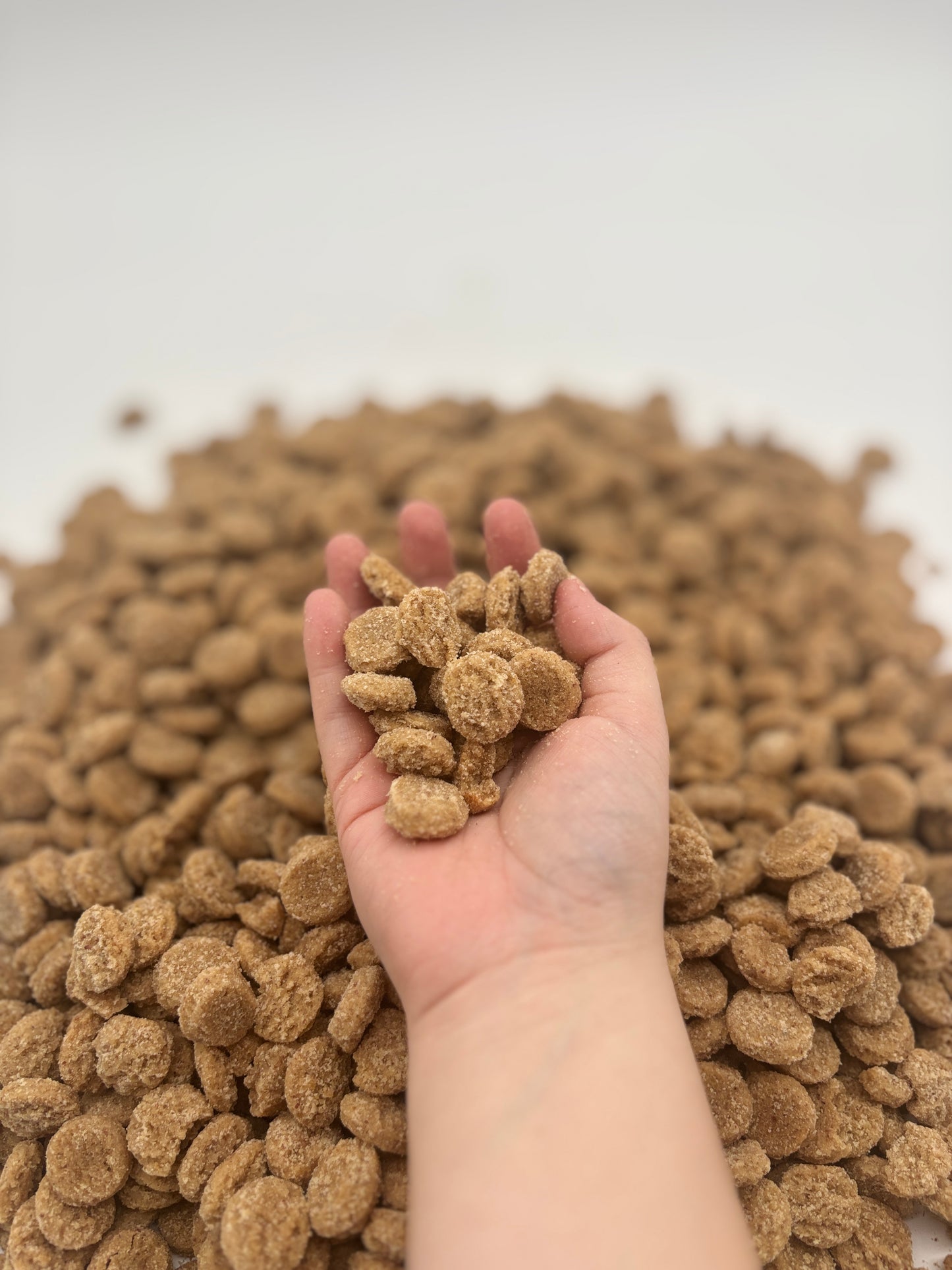 5lb Bulk Peanut Butter Soft & Chewy Dog Treats