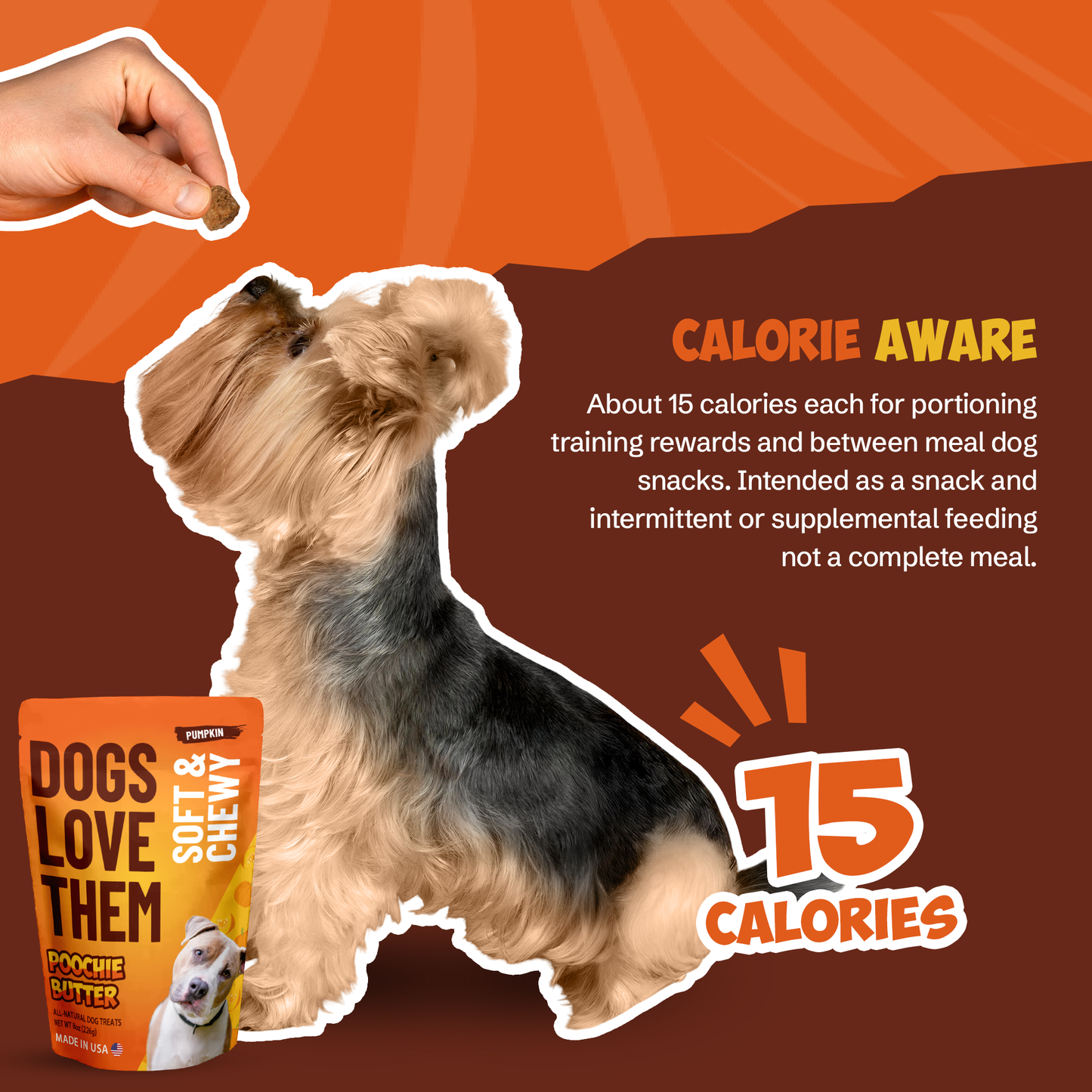 8oz Pumpkin Soft & Chewy Treats