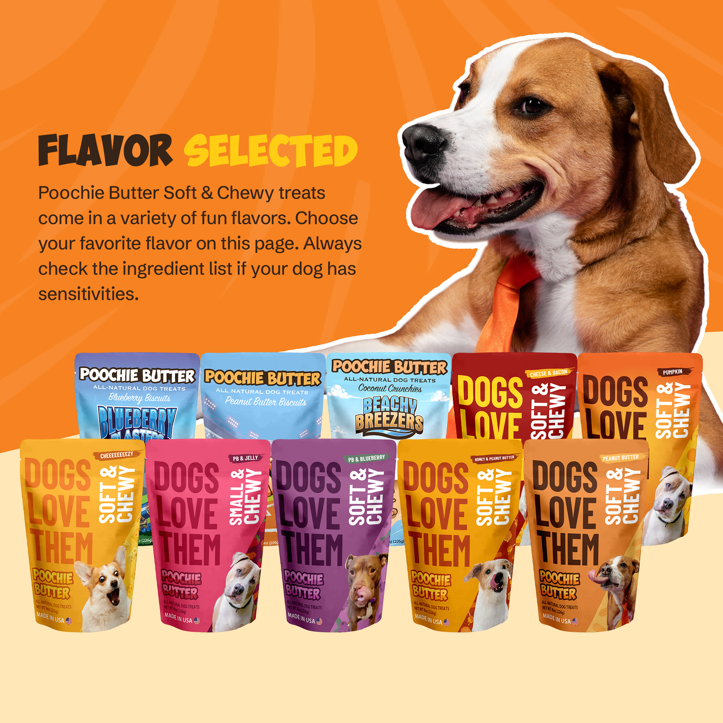 5lb Bulk Peanut Butter Soft & Chewy Dog Treats